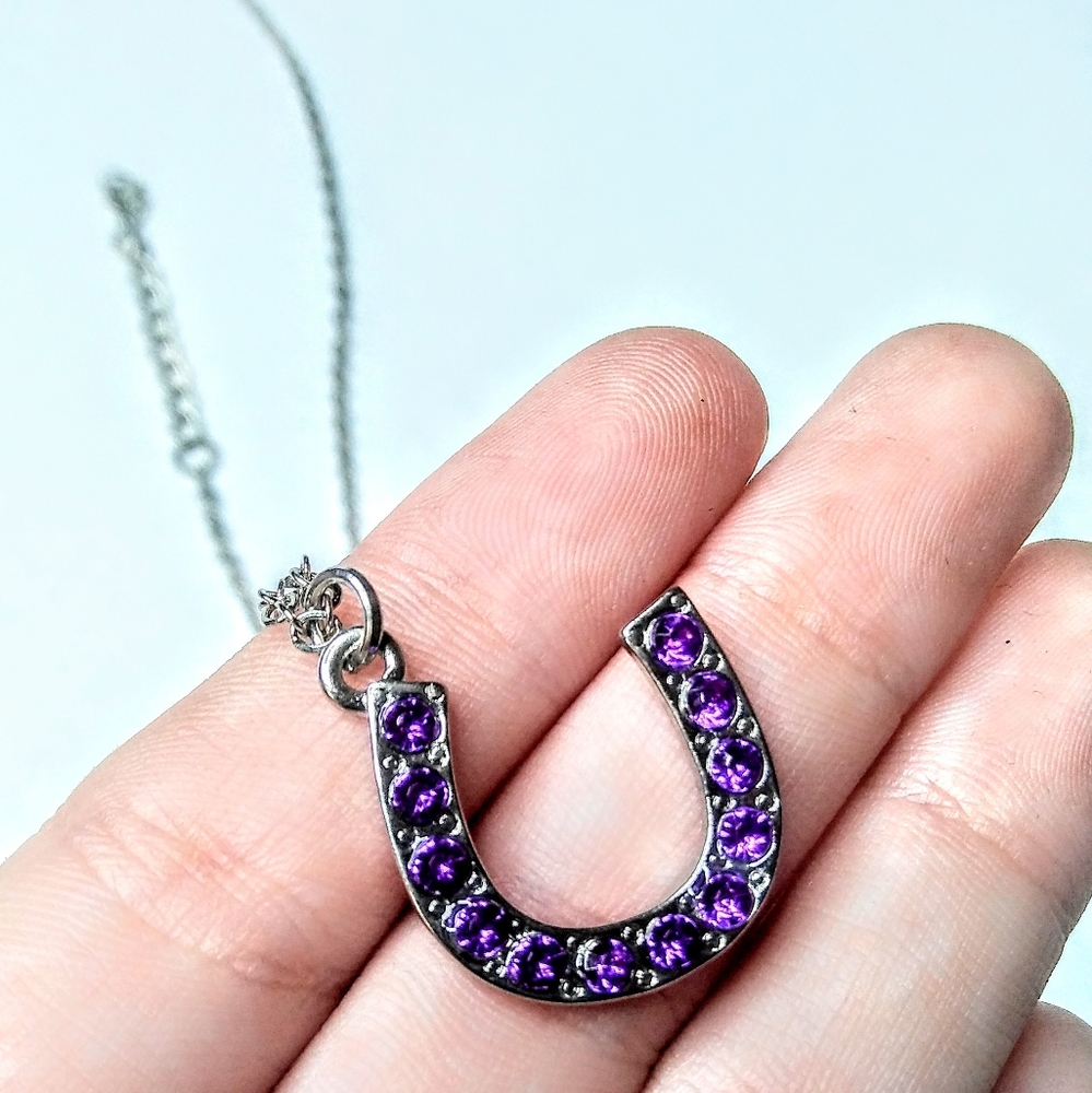 Purple Horseshoe Gemstone Necklace